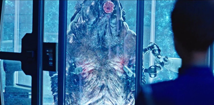 Tardigrade in Reaction Chamber